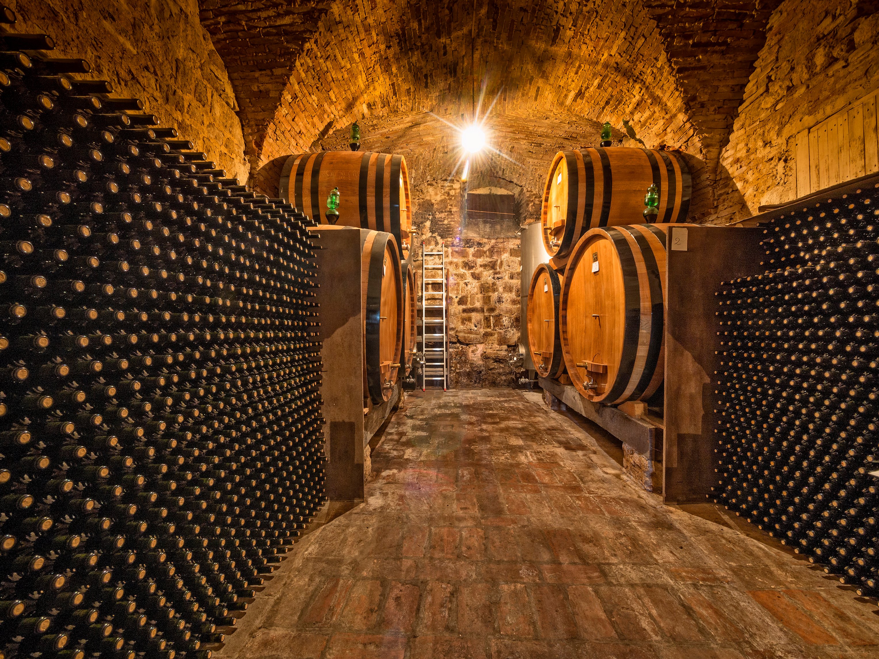 IMG_Bodega
