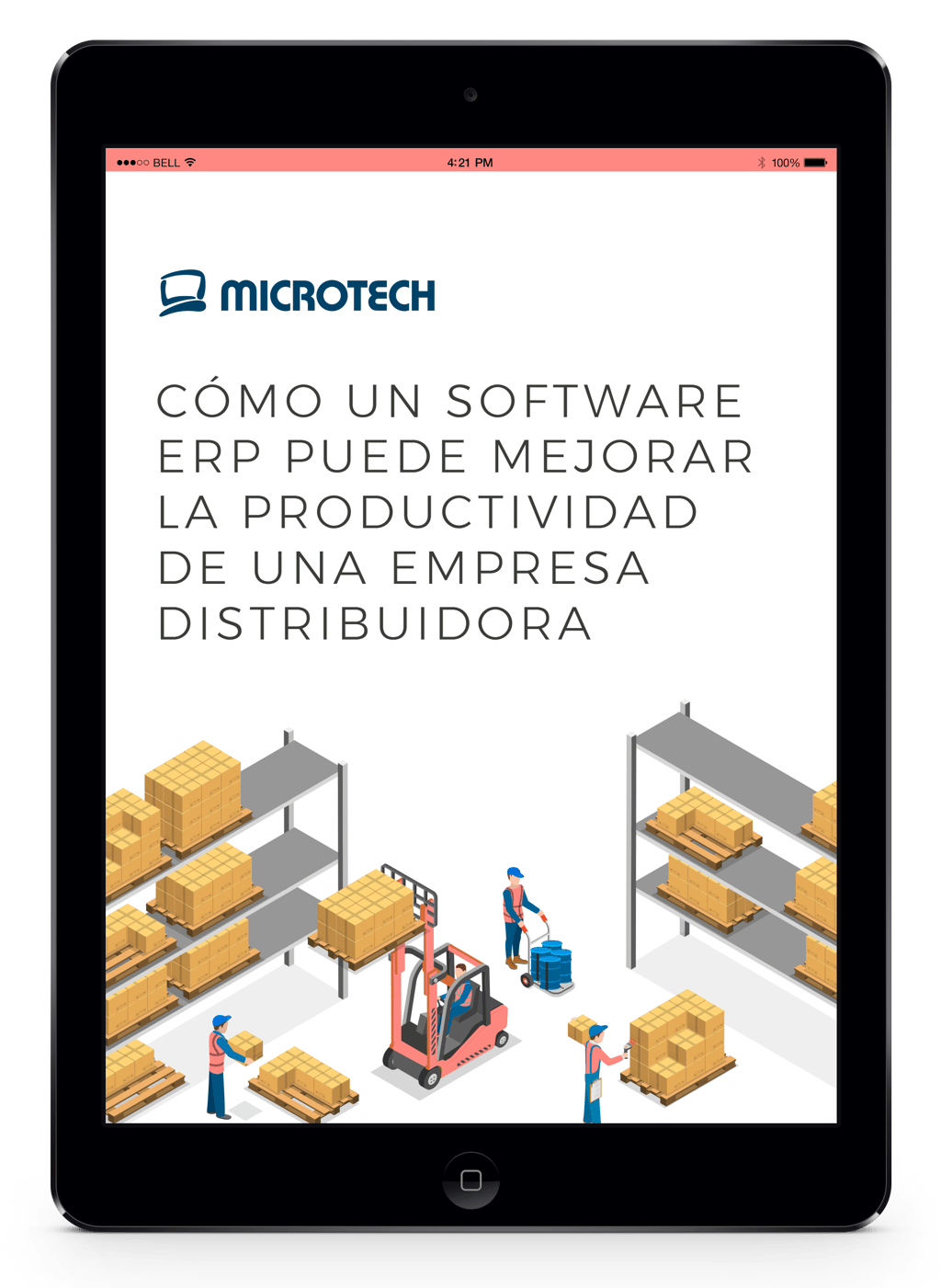 software-erp-distribuidoras